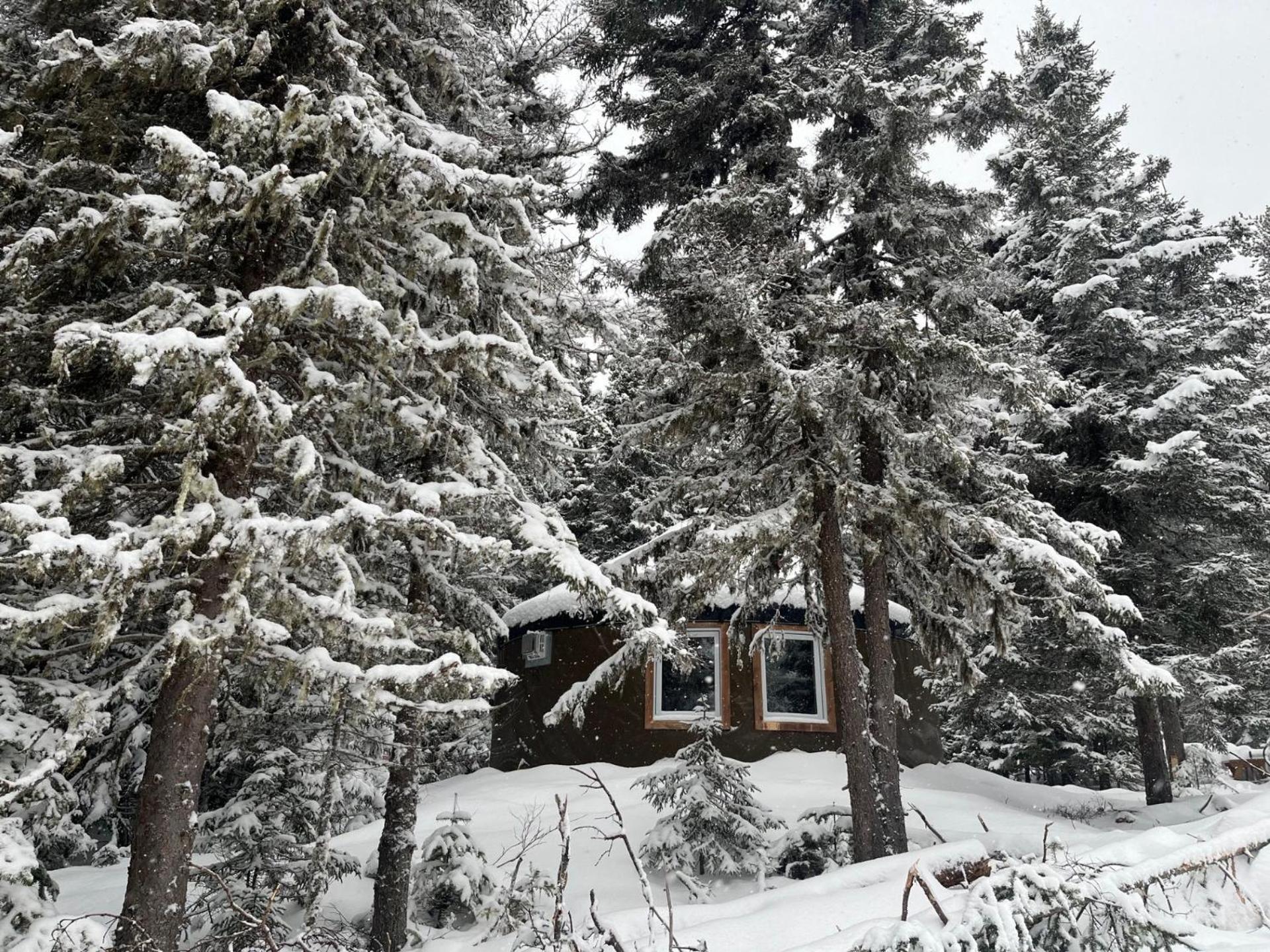 Yourte Experience Charlevoix La Malbaie Εξωτερικό φωτογραφία